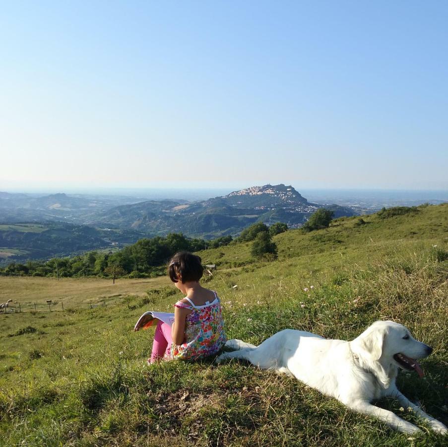 Вилла Fattoria Bio L'A Ceccoli Sasso Feltrio Экстерьер фото